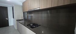Irwell Hill Residences (D9), Apartment #467710521